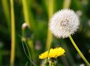 natur_004.jpg