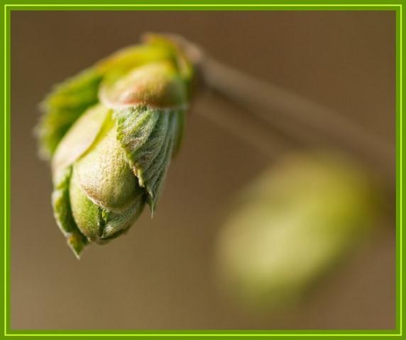 natur_001.jpg
