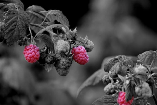 natur_002.jpg