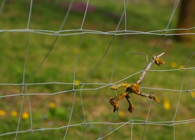 natur_006.jpg