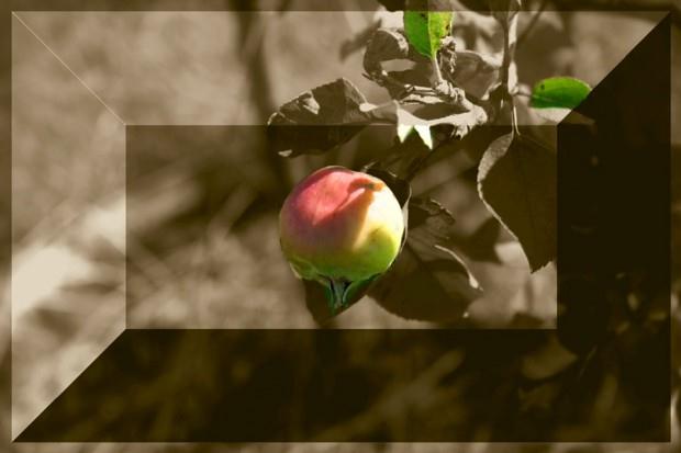 natur_010.jpg